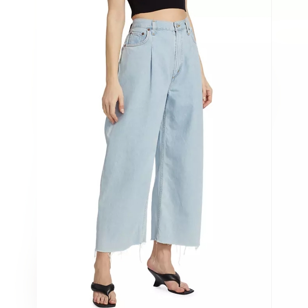 NWT Agolde- Dagna High Rise Pleat Baggy Jeans